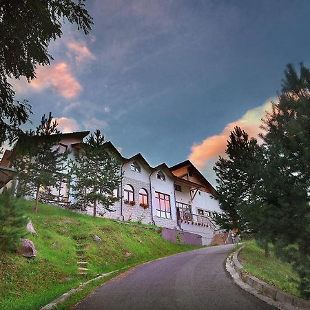 Pensiunea Poiana Verde Slănic-Moldova Dış mekan fotoğraf