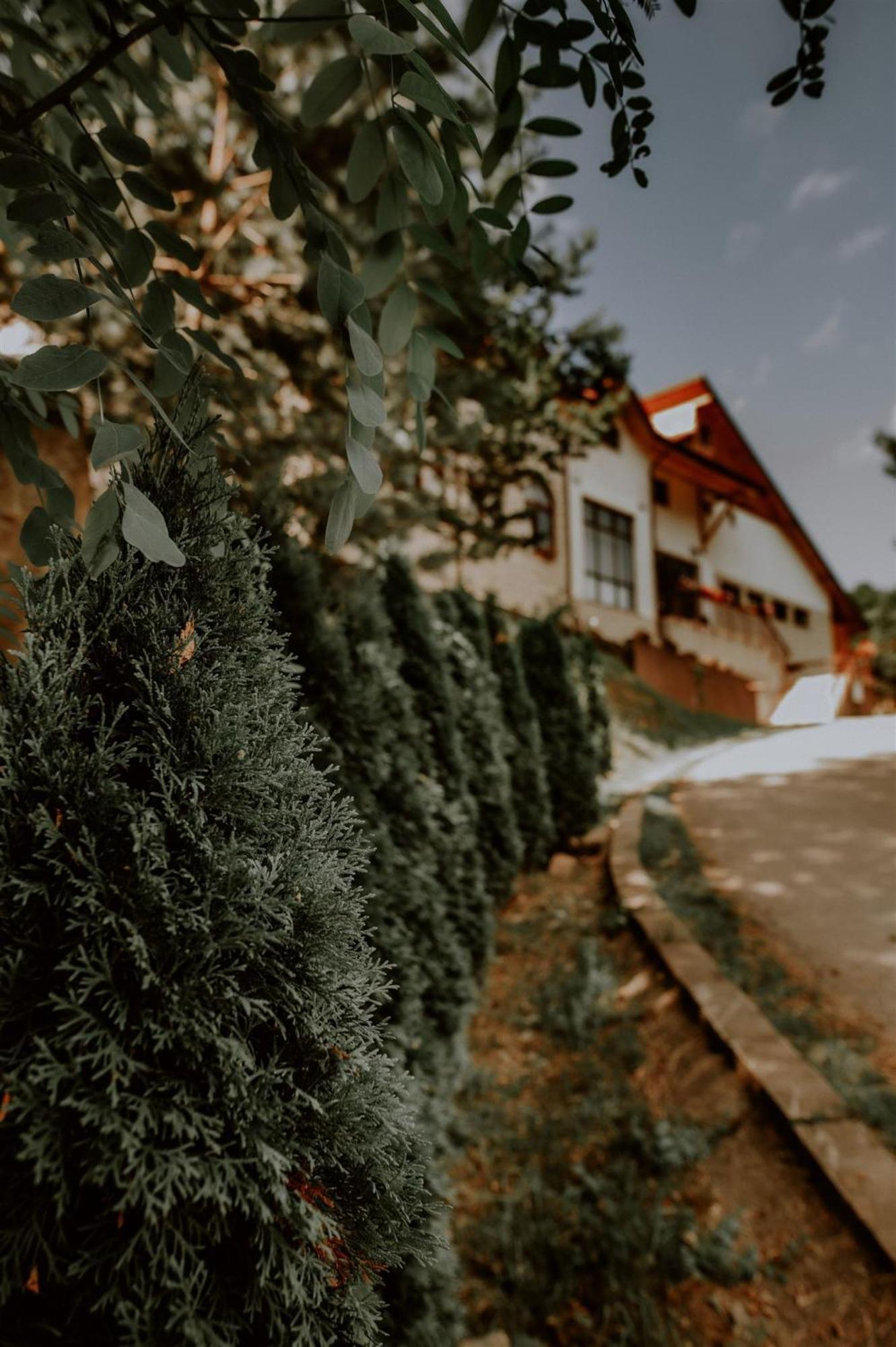 Pensiunea Poiana Verde Slănic-Moldova Dış mekan fotoğraf