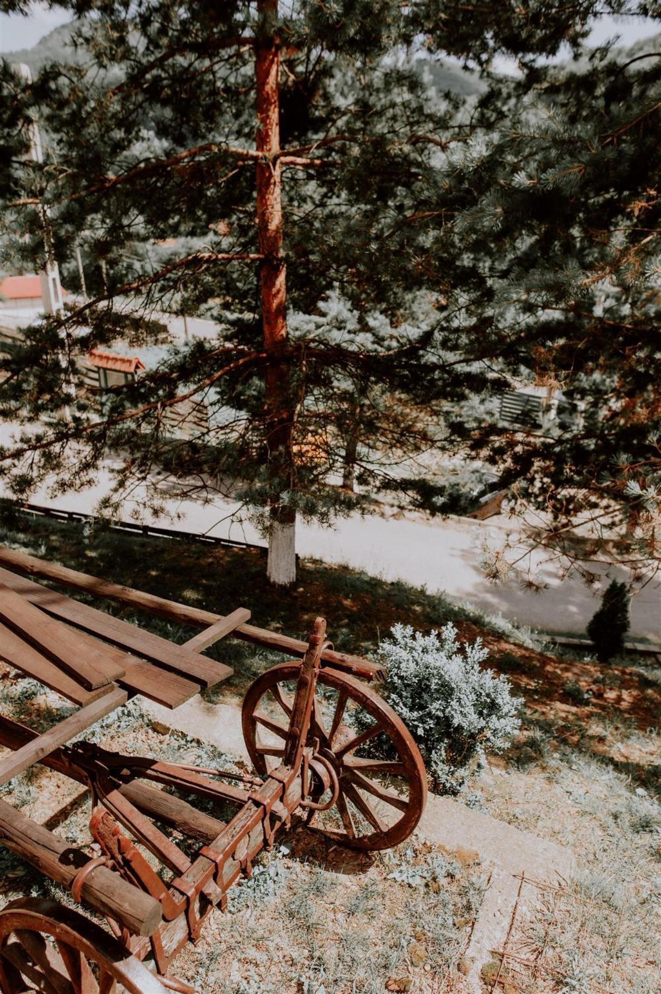 Pensiunea Poiana Verde Slănic-Moldova Dış mekan fotoğraf