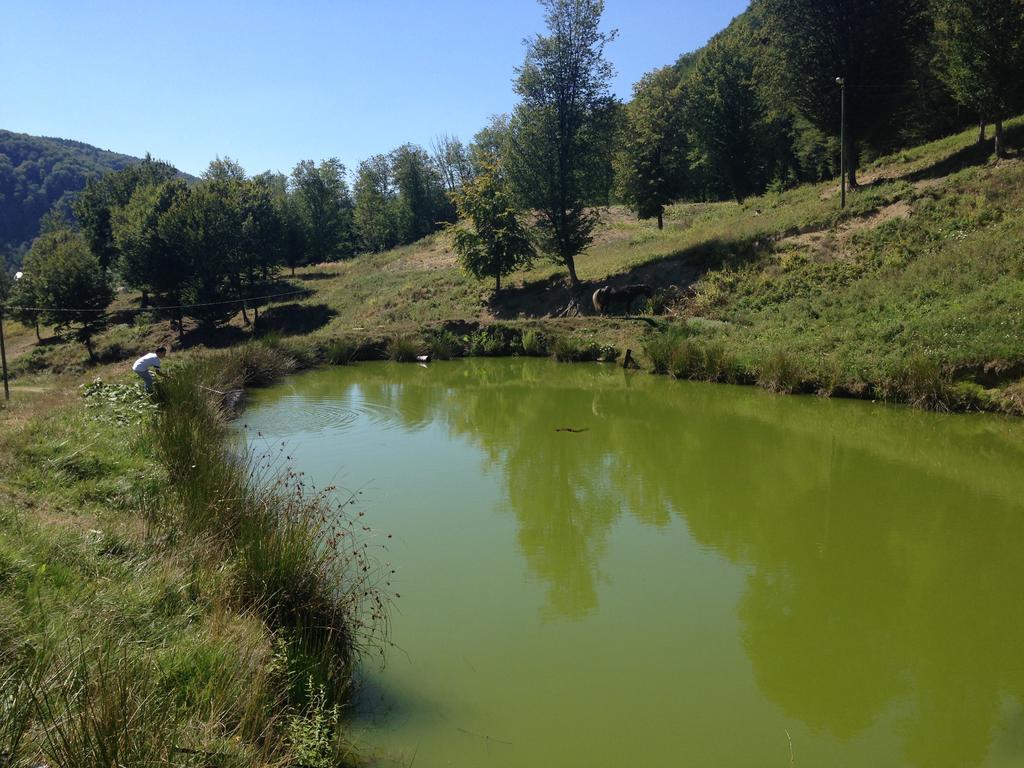 Pensiunea Poiana Verde Slănic-Moldova Dış mekan fotoğraf